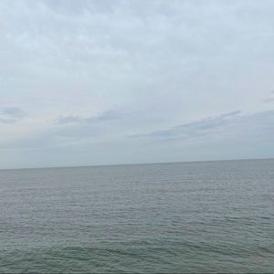 Meet your Posher, Dylan